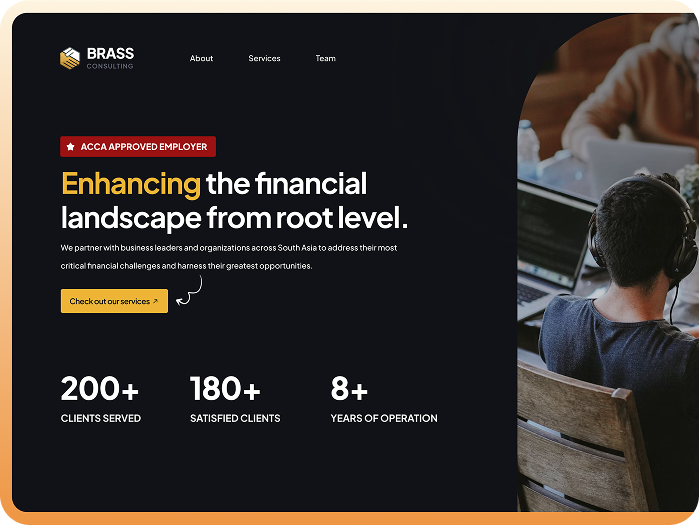Brass Consulting financial platform case study preview